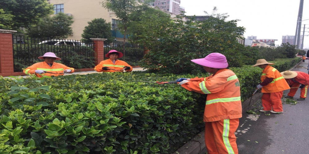 新站區(qū)道路清掃保潔、綠化管養(yǎng)項(xiàng)目
