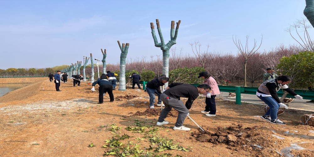 黨建引領(lǐng)共植綠 凝心聚力譜新篇 ——和合生態(tài)、德嘉置業(yè)黨支部赴小廟基地義務(wù)植樹